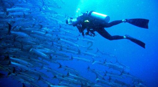 绿色消费进行时 海信激光电视站上绿色消费风口